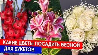 Какие цветы посадить весной для букетов