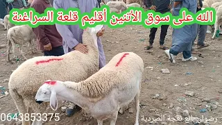 مباشر من سوق الأتنين أقليم قلعة السراغنة أجيو تسوقو معايا الله يدير الخير بتاريخ 18/9/2023