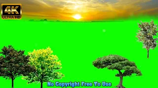 Sunset And Forest Trees Green Screen | No Copyright | 2021