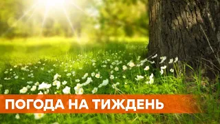 Солнце возвращается и +12. Прогноз погоды в Украине