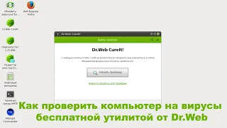 Как проверить компьютер на вирусы бесплатной утилитой от Dr Web