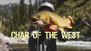 Char of the West - A Fly Fishing Film (Part 1)