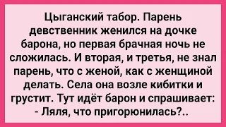 Как У Дочки Цыганского Барона не Сложилась Брачная Ночь! Сборник Свежих Смешных Жизненных Анекдотов!