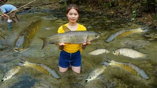 120 Days of Catching Lots of Fish in the Pond to Sell to the Market - Harvesting, Cultivation