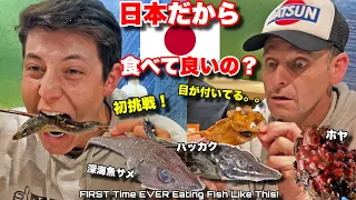 Fishy Business: Our Wild Adventure Trying Unheard-of Seafood in Japan