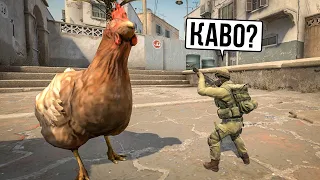 Необычные консольные команды cs:go