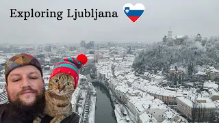 Cat Nala exploring Ljubljana 😻❤️