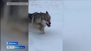 Нападение на человека