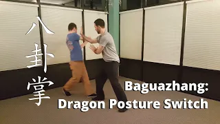 Baguazhang - Dragon Posture Change