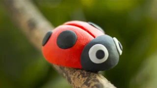 Clay - Lady Bug