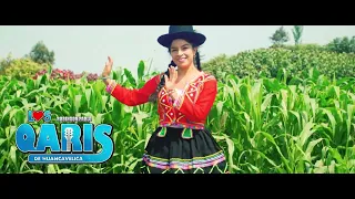 Mix musica Cusqueña "Los Qaris de Huancavelica" Contratos - 990742112