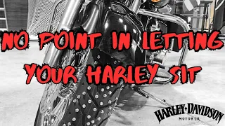 Harley-Davidson Tires Don't Last Forever so Don't Save Tread