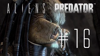 Aliens vs Predator 3 [Predator ] #16 - Hier waren wir doch schon - Let`s Play