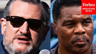 Ted Cruz: Why Herschel Walker Will Win