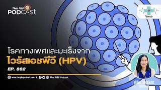 ไวรัสเอชพีวี (HPV) เชื้อร้ายจากเพศสัมพันธ์ เสี่ยงมะเร็งและโรคทางเพศ | โรงหมอ