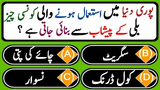 Islamic Common Sense Paheliyan In Urdu/Hindhi  | Islamic Questions Answers |Islamic Quiz