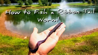 How to Fish a Ribbon Tail Worm for Summer Bass!!