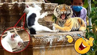 Real Cat Is Terrified By Fake Tiger Prank Funny Video 2021_ Try Not To Laugh Funny Cat Reaction