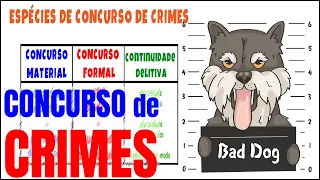 CONCURSO de CRIMES | art. 69 a 76 do Código Penal
