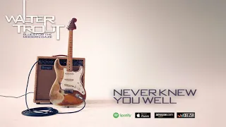 Walter Trout - Never Knew You Well (Blues For The Modern Daze) 2012