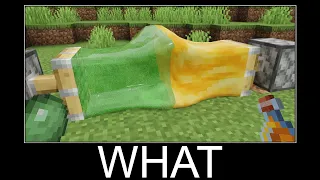 Minecraft realistic wait what meme, Lava, Water, Slime #507