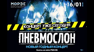 Пневмослон - Новый Годный Концерт (16.01.2021 СПБ, клуб Морзе)