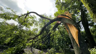 We Survived a Tornado in Bentonville