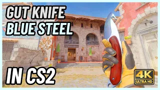 ★ CS2 Gut Knife Blue Steel | CS2 Knife In-Game Showcase [4K]