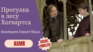 🌳 (rus) Hogwarts Forest Walk with Professor Lupin ASMR