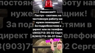 Нам нужен сотрудник на постоянную работу! Все подробности по телефону 8(903)713-35-02