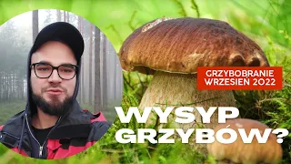 Wysyp Grzybów? Moje Pierwsze Grzybobranie Wrzesień 2022. Kielcza/Zawadzkie Śląsk / Vlog Z Grzybków