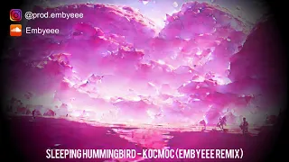 Sleeping Hummingbird - KOCMOC (Embyeee Remix)