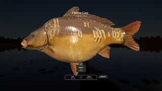 Russian Fishing 4  2x Trophy Miror Carp