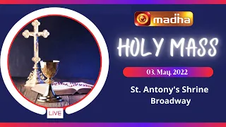 🔴 LIVE 03 May 2022 Holy Mass in Tamil 06:00 AM (Morning Mass) | Madha TV