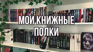 Книжные полки | Собираем книжный стеллаж и расставляем книги