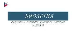 7 класс - Биология - Сходство и различия животных, растений и грибов