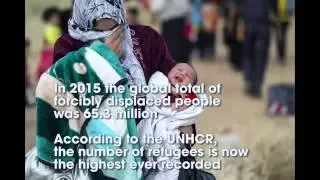 Global refugee numbers hit record high