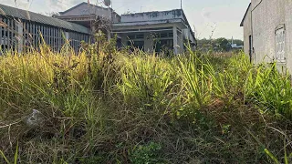 Beautiful transformation of the overgrown front lawn - We helped clean up the abandoned house