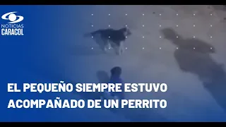 Bebé fue encontrado solo gateando en la calle a las 4 de la mañana