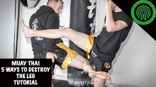 Muay Thai 5 Ways to Destroy the Leg Tutorial