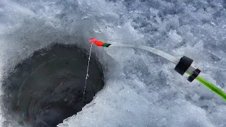 ПОПАЛ НА ДИКИЙ КЛЁВ В ЯМЕ! ТОЛЬКО ОПУСКАЙ  - КЛЮЁТ! ЗИМНЯЯ РЫБАЛКА на Енисее