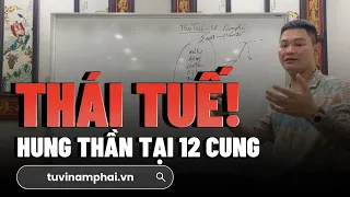 HUNG THẦN THÁI TUẾ TẠI 12 CUNG | TỬ VI LÊ QUANG LĂNG | TỬ VI NAM PHÁI | MỆNH LÝ THIÊN CƠ