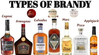 Different Types of Brandy I Cognac I Armagnac I Calvados I Pisco I Grappa I XO Brandy I VSOP Brandy