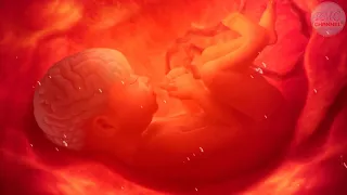 🎵🎵 Pregnancy Music to Make Baby Kick Inside The Womb 🧠👶🏻 Brain Development 🎵🎵