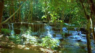 The whisper of a cascading waterfall in the forests of Thailand. gentle sounds of water for sleep