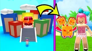 Roblox: I Found a *SECRET* PET In TOY LAND!