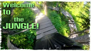 MTB Roller Coaster in the Trees - This Ride will Pump Your Adrenaline - Lym Trail | UNPAVED Raw Ride