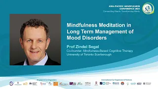 Mindfulness Meditation in Long Term Management of Mood Disorders | Prof Zindel Segal