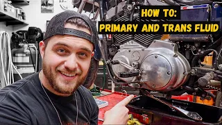 How to: Primary and Trans Fluid Change - Harley Davidson Sportster