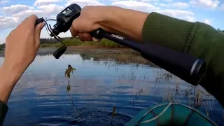 И щуку словил, и лодку пробил...